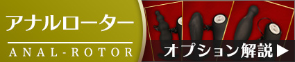 コスチュームページ